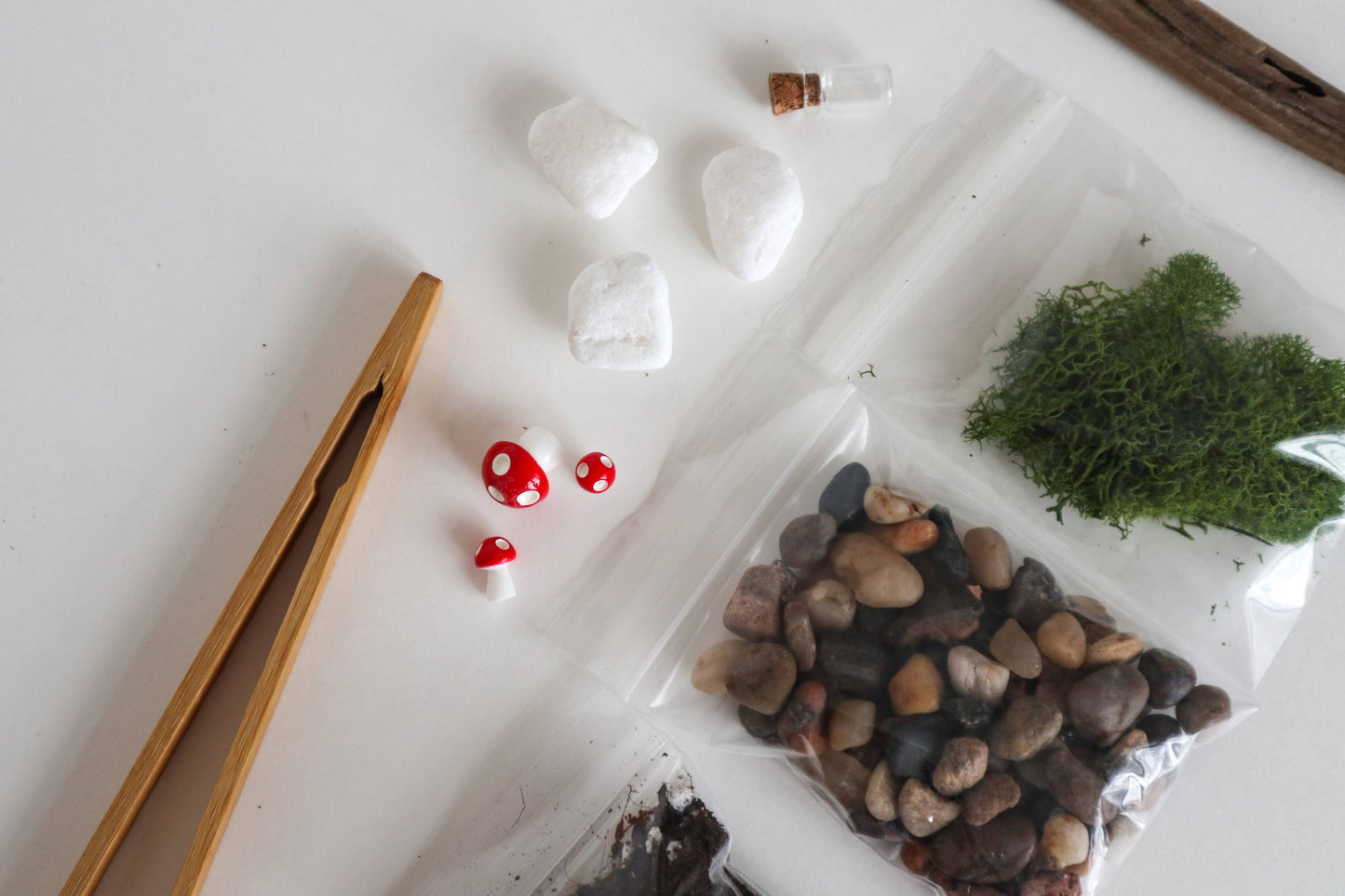 Glass Terrarium Kit