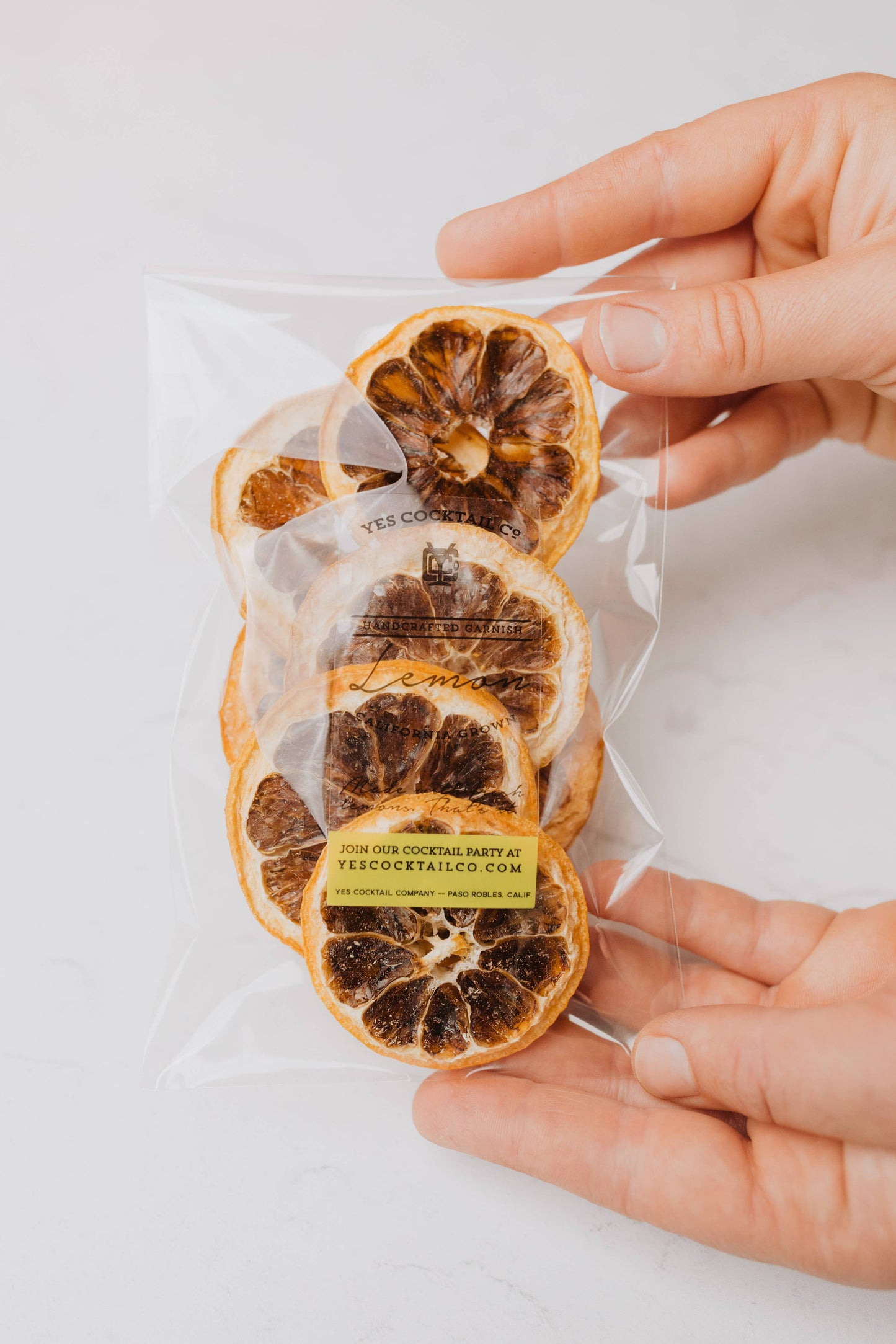 Citrus Cocktail Garnishes (Dehydrated) | Orange