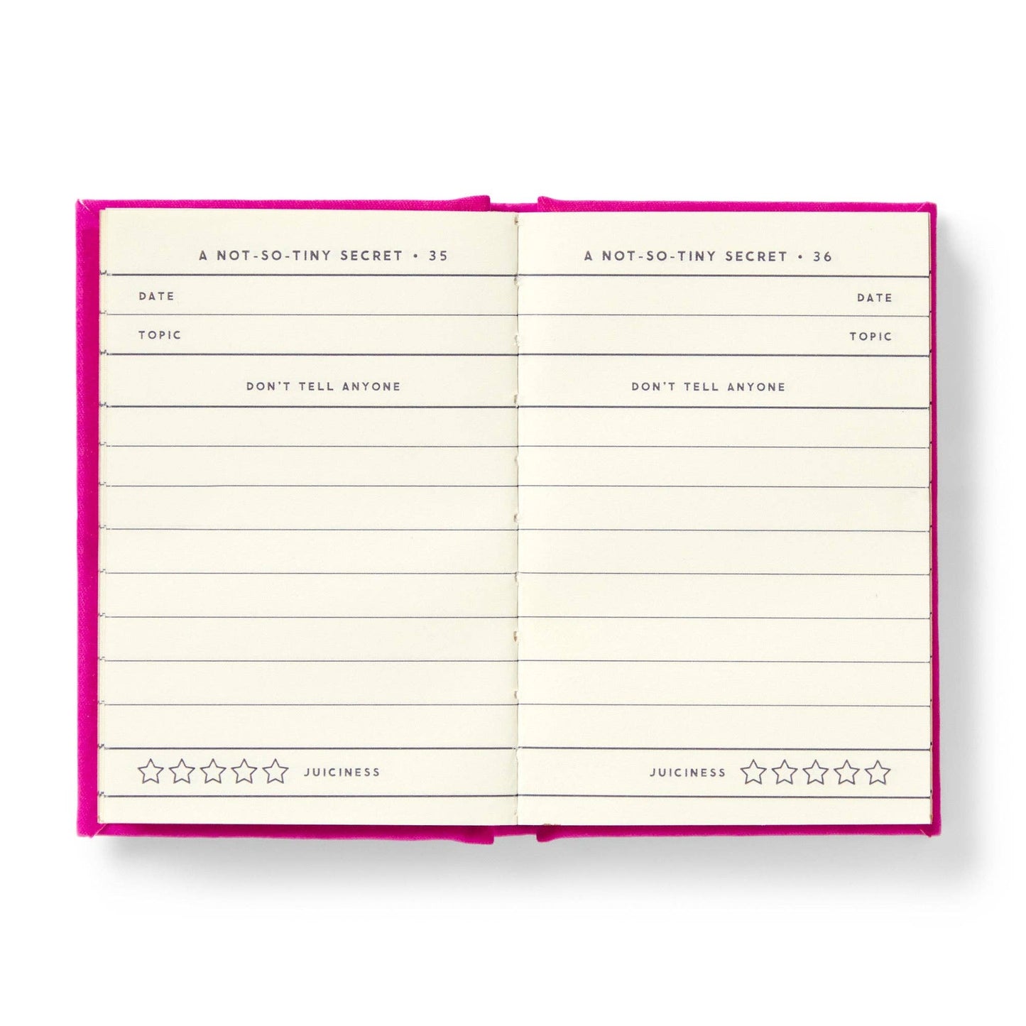 A Tiny Diary for Not So Tiny Secrets