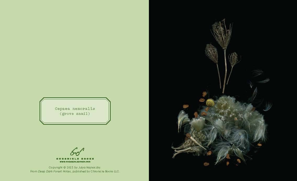 Deep Dark Forest Notecards