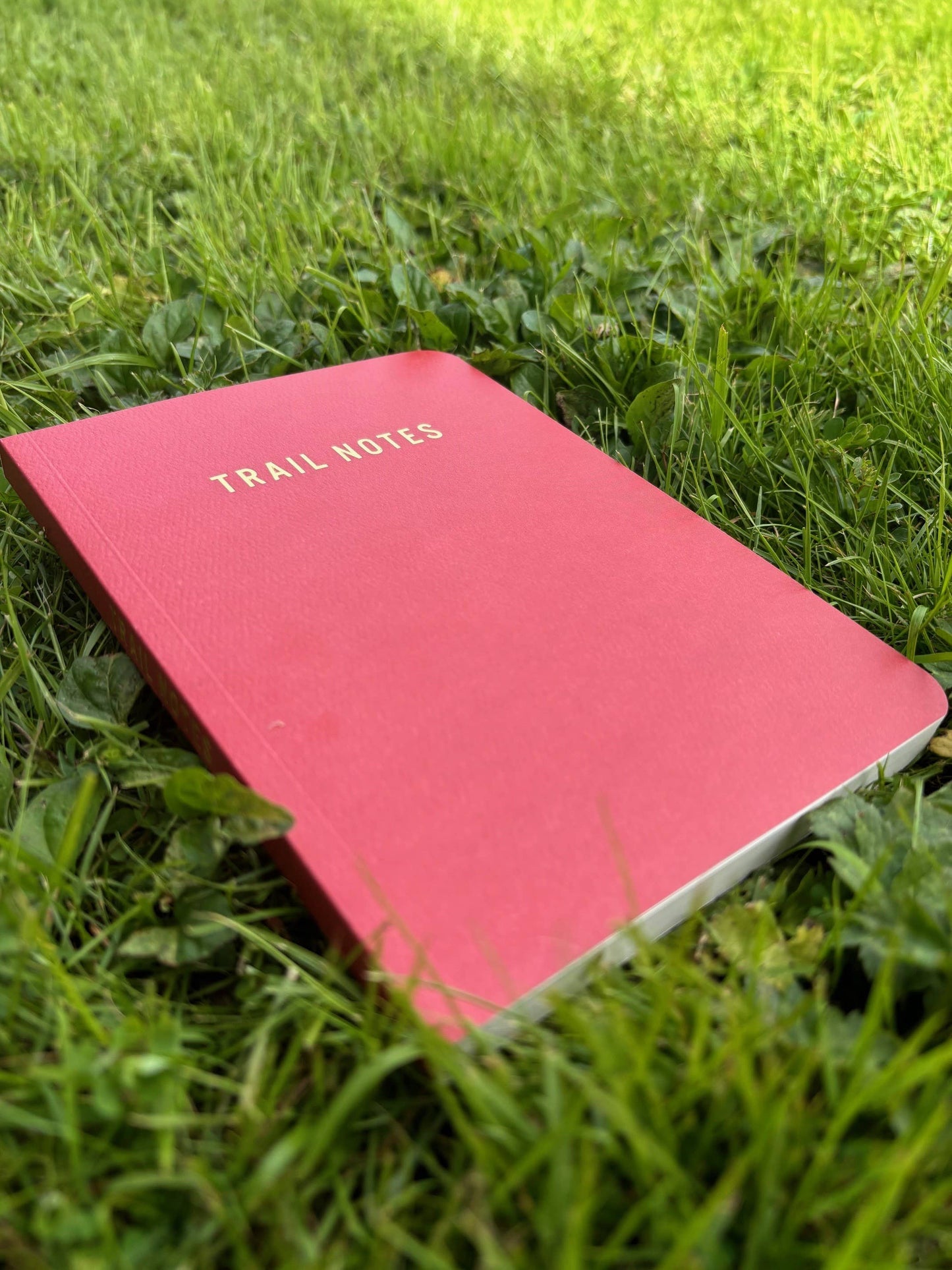 Trail Notes