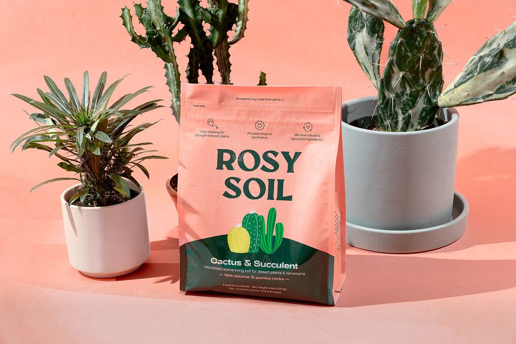 succulent potting mix ingredients Organic Cactus & Succulent Potting Mix – PROCESS