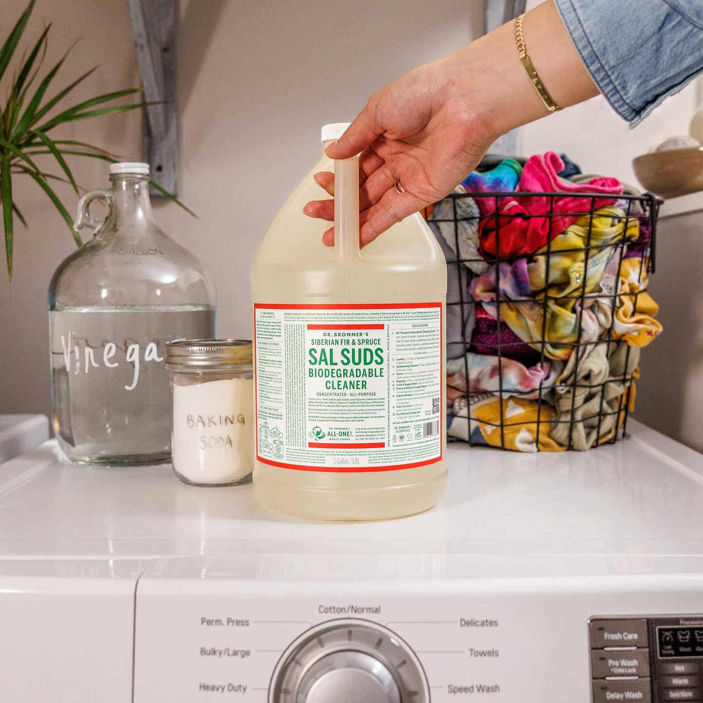 Sal Suds Biodegradable Cleaner | Gallon