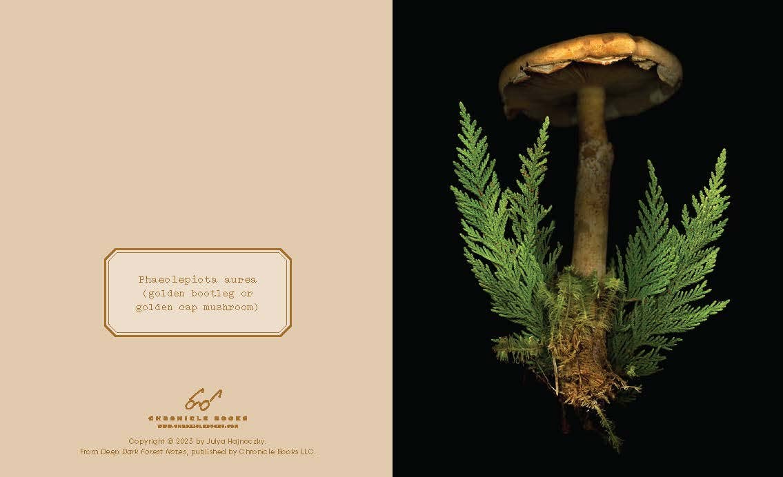 Deep Dark Forest Notecards