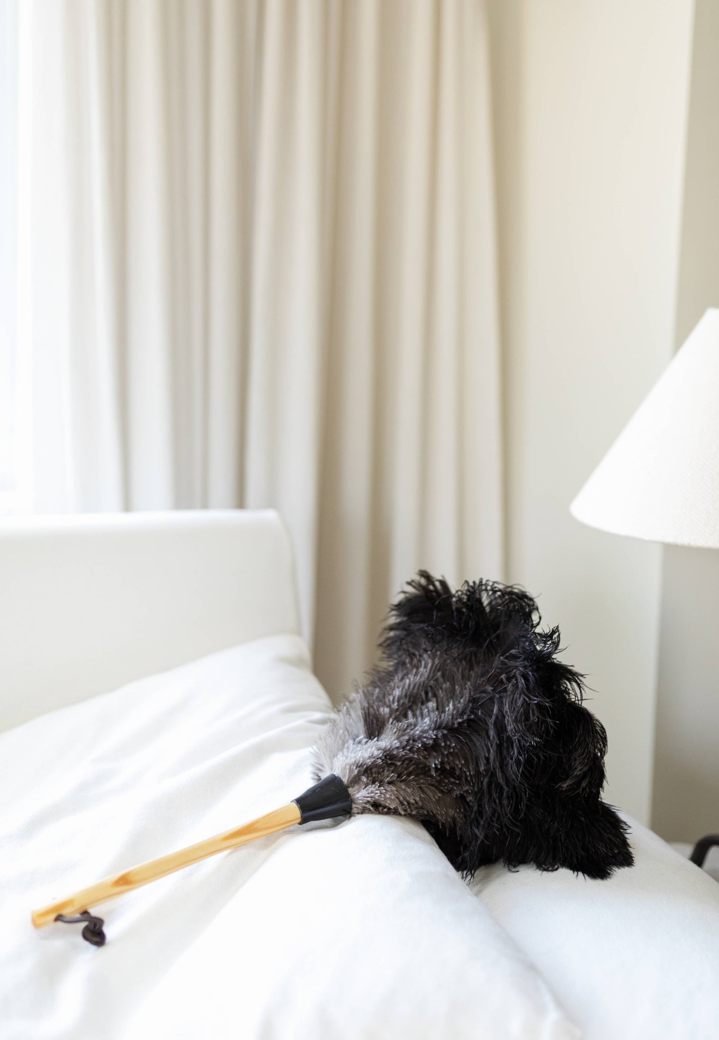 Feather Duster | 20 inch