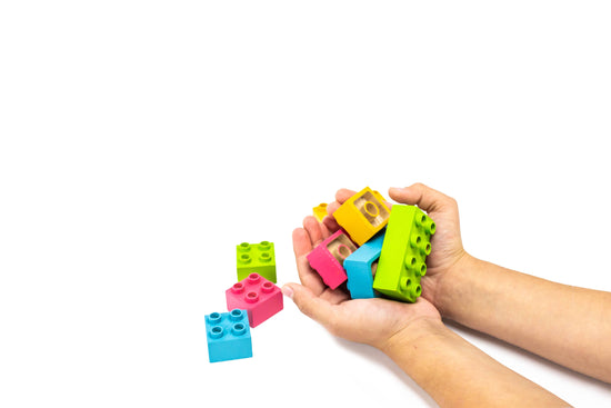 Eco-bricks™ Color PLUS 25 Piece