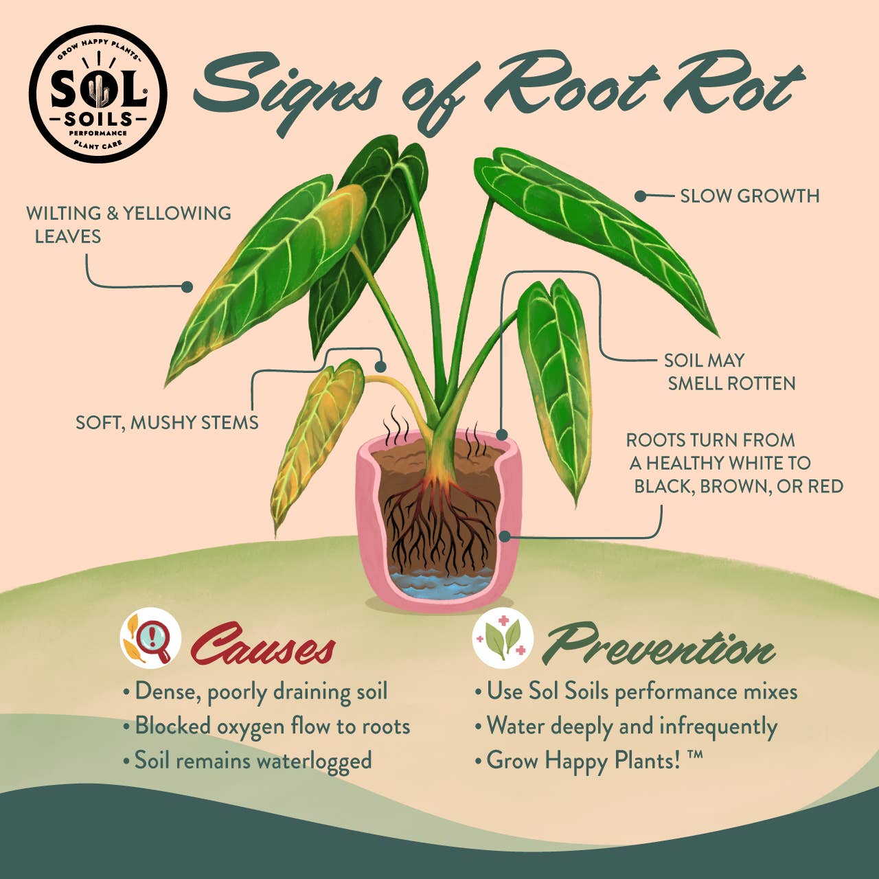 Gritty Cactus Potting Mix