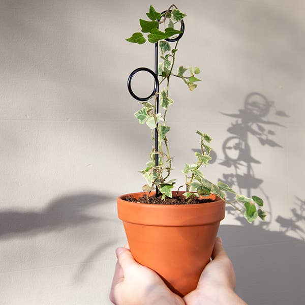Black Mini Plant Stake