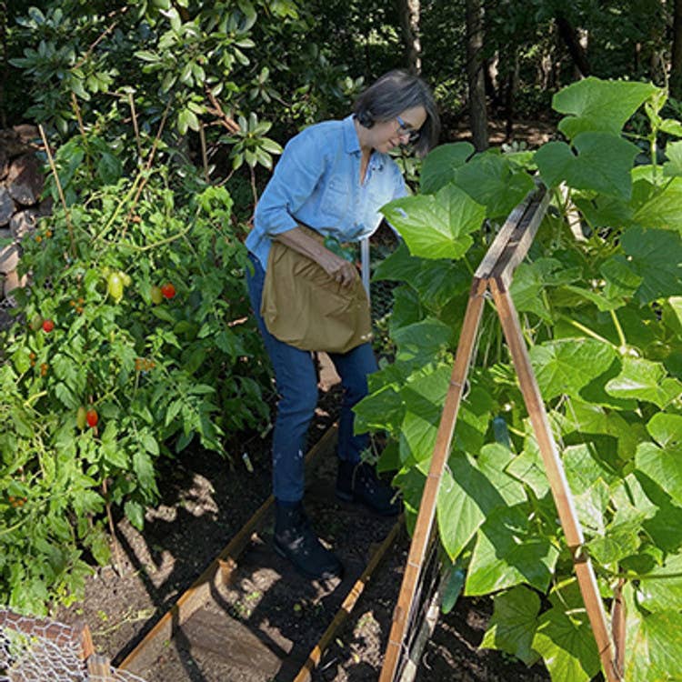 Harvest + Gardening Apron