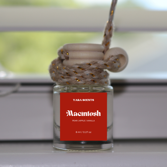 Car Diffusers | Winter Collection