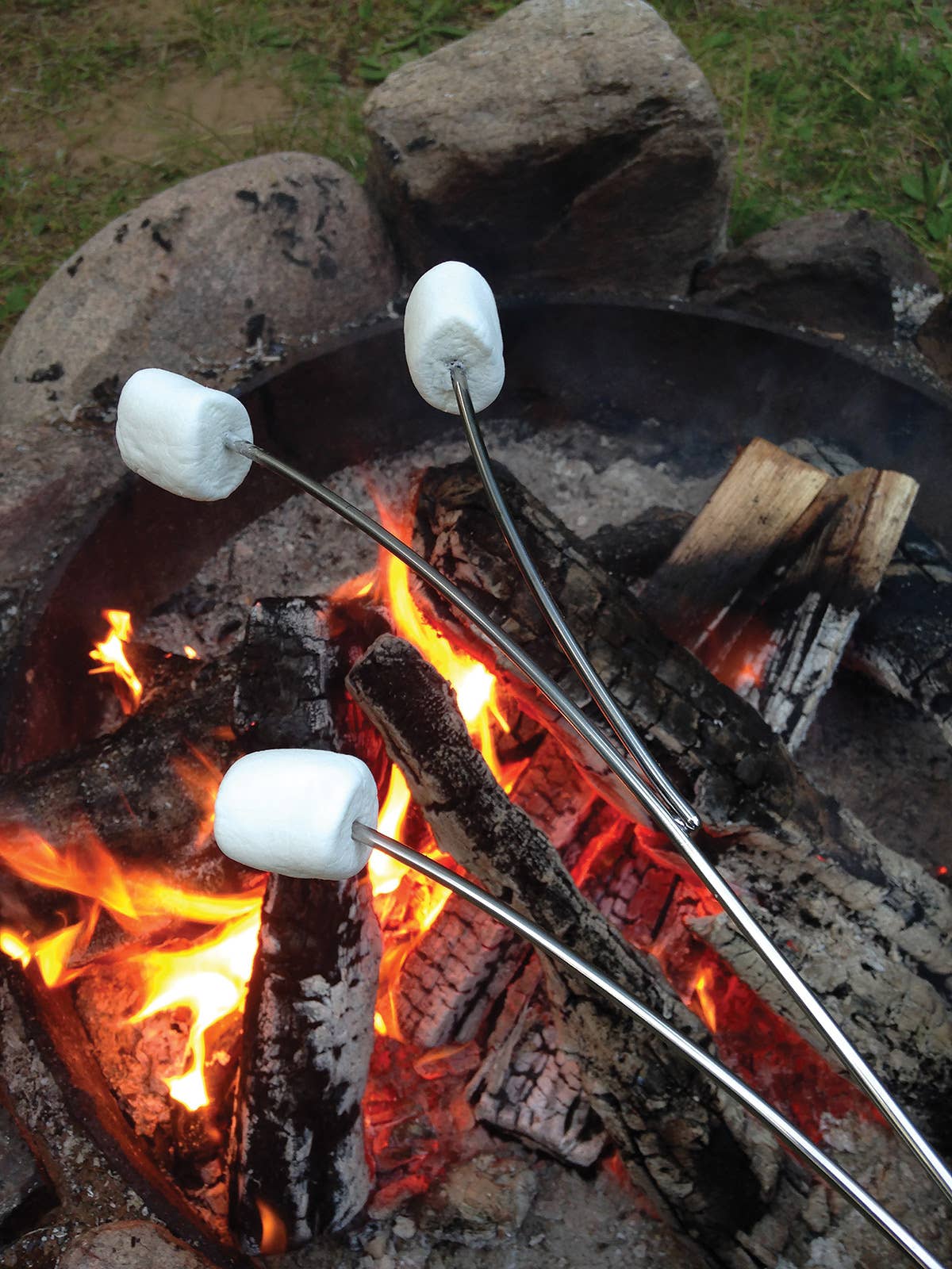 Twiggy Stainless Steel Marshmallow Fork by Rome