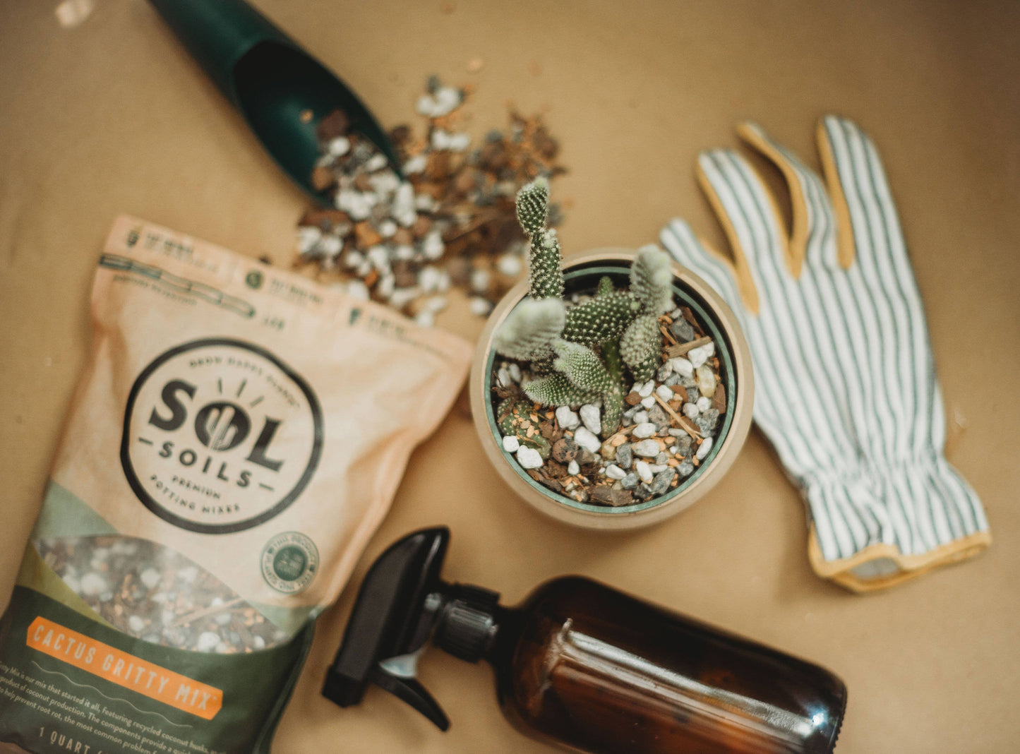 Gritty Cactus Potting Mix
