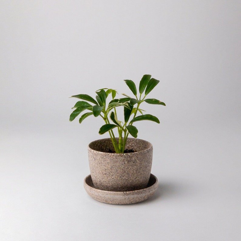 3" Upcycled Mini Planter & Saucer
