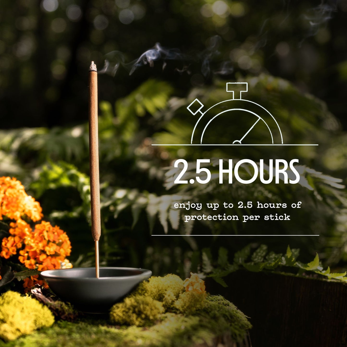 Mosquito Repellent Incense Sticks
