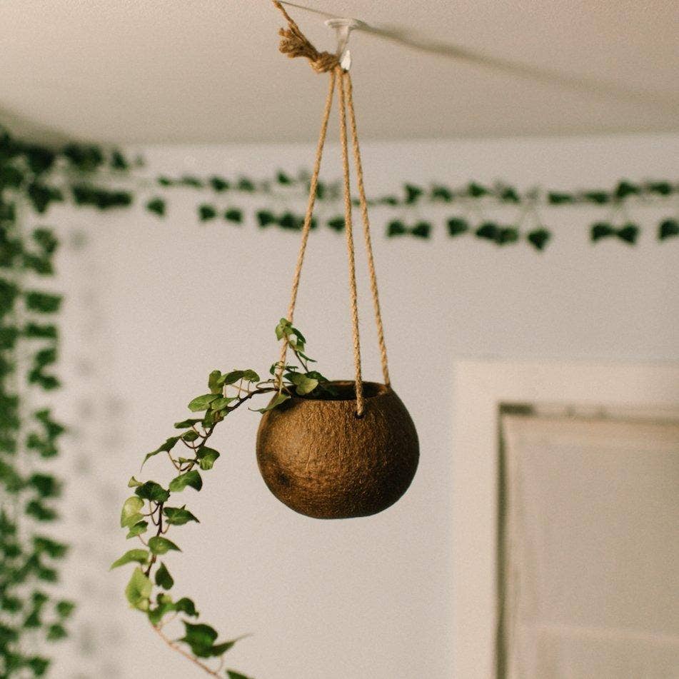 Load image into Gallery viewer, Hanging Coconut Planter
